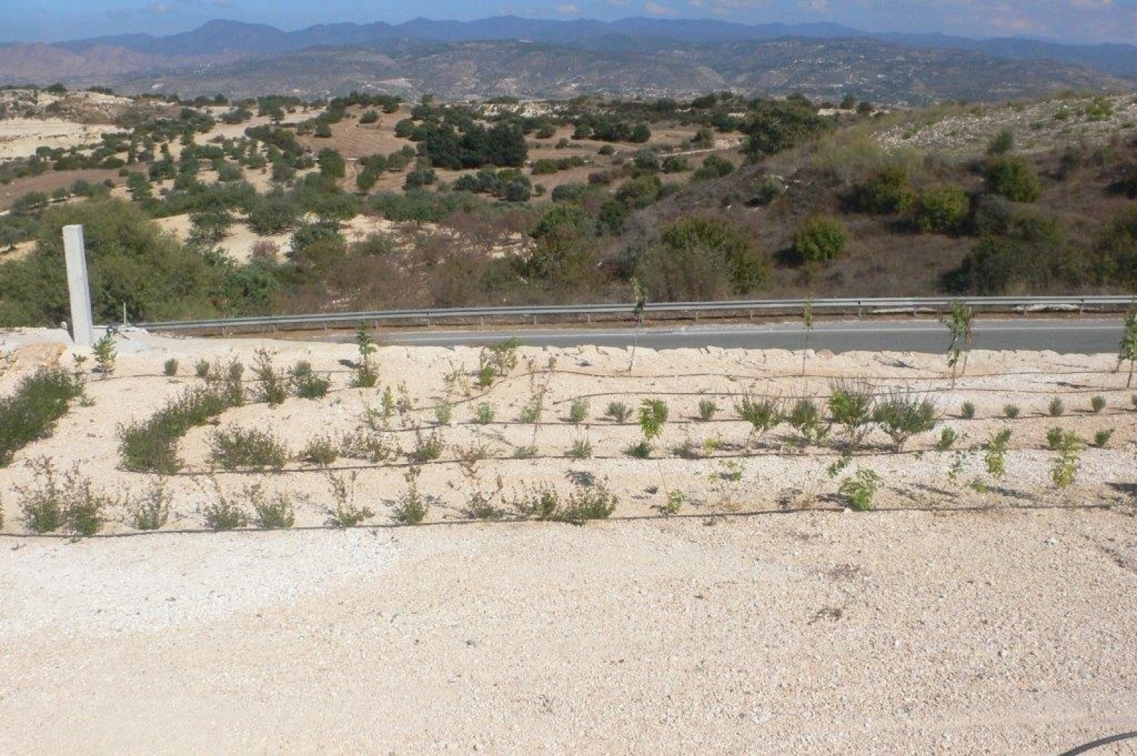 Residential Bungalow - Drouseia Height bungalow