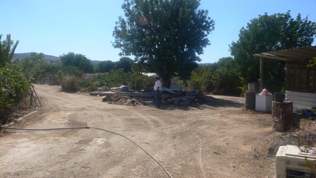 Land Land - AGRICULTURAL LAND FOR SALE IN NEO CHORIO PAPHOS CYPRUS