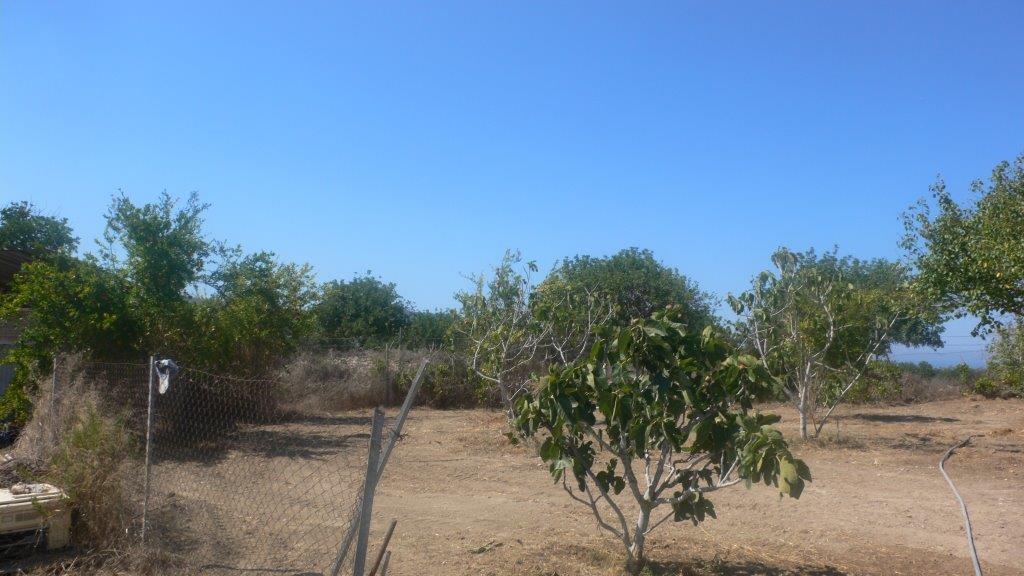 Land Land - AGRICULTURAL LAND FOR SALE IN NEO CHORIO PAPHOS CYPRUS