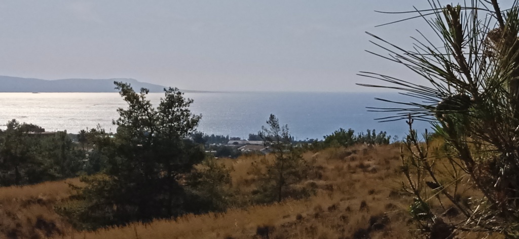 Land Land - Argaka Residential Land for sale