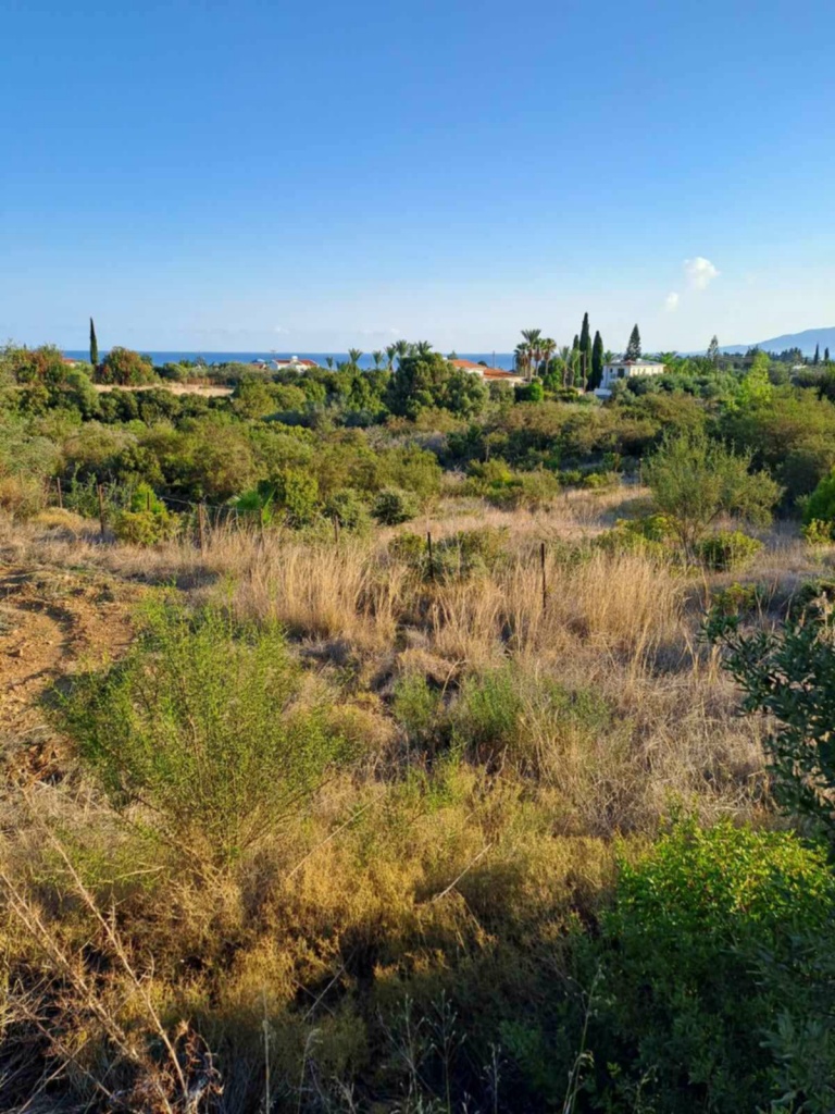Land Land - Agricultural land for sale Anadasmos Latchi in Neo Chorio
